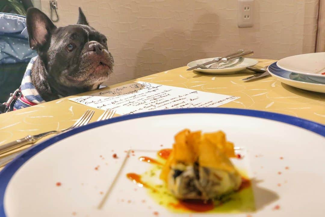 Turbo_dad フレブルのターボさんのインスタグラム写真 - (Turbo_dad フレブルのターボInstagram)「Dinner time . . . #frenchbulldog #frenchie #buhi #dog #フレンチブルドッグ  #フレブル #ブヒ #frenchiesofinstagram #instadog #instafrenchie #frenchiegram #dogstagram #frenchbullys #frenchielove #프렌치불독 #thefrenchiepost #法鬥 #frenchies1 #portrait #igersjp #tokyocameraclub  #bully #ilovemydog #frenchielife #愛犬 #dogsofinstagram #ふわもこ部 #dinner #saturday #九十九里浜」9月21日 19時35分 - turbo_dad