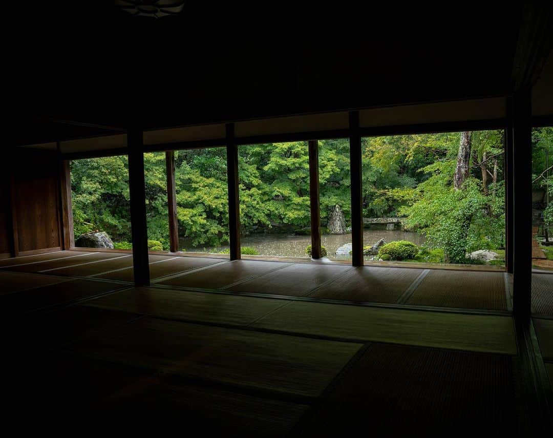 山口淳一さんのインスタグラム写真 - (山口淳一Instagram)「One day in the rain. しばらく#寺グラマー はお休みです。 #japan #kyoto #rengejitemple #temple #green #nature #beautiful #日本 #京都 #蓮華寺 #寺 #緑 #自然」9月21日 20時08分 - junichi_yamaguchi