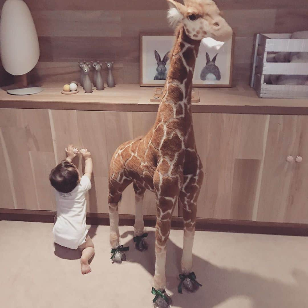 森泉さんのインスタグラム写真 - (森泉Instagram)「💛🦒」9月21日 11時41分 - izumi.mori