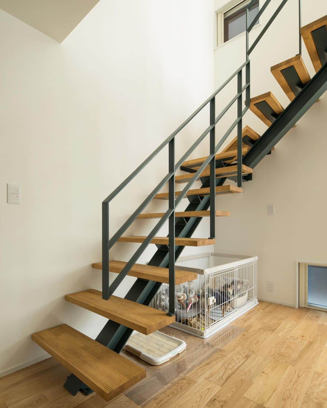 ルポハウス一級建築士事務所さんのインスタグラム写真 - (ルポハウス一級建築士事務所Instagram)「・ ・ ・ アイアン階段を彩るモスグリーンは、無垢の床に馴染んでナチュラルに。 ・ 階段下には空間を有効利用したドッグスペースを設えました。 ・ ・ ・ 𓐌𓐌𓐌𓐌𓐌𓐌𓐌𓐌𓐌𓐌𓐌𓐌𓐌𓐌𓐌𓐌𓐌𓐌  ルポハウスの施工事例はこちらまで☞ @reposhouse  𓐌𓐌𓐌𓐌𓐌𓐌𓐌𓐌𓐌𓐌𓐌𓐌𓐌𓐌𓐌𓐌𓐌𓐌 #ルポハウス は#ちょっとかっこいい家 を"友人のために" という思いでつくっています。 一生に一度の#マイホーム。 「あなたにしかできない」×「ルポハウスだからできる」で、 私たちだけの#家づくり を思いっきり楽しんでみませんか？！ ・ ・ ・ #住宅 #注文住宅 #新築一戸建て #デザイナーズ住宅  #一級建築士事務所 #設計事務所  #滋賀県大津市 #滋賀県草津市 #滋賀県栗東市  #滋賀県近江八幡市 #階段インテリア #アイアン手摺 #ドッグスペース #無垢フローリング #ナラ床材」9月21日 11時59分 - reposhouse
