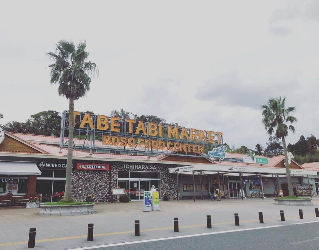 小野真弓さんのインスタグラム写真 - (小野真弓Instagram)「いつ来てもテンションが上がる市原S.A🌴🌈ドッグランもあり、わんこが一緒でもお外で食事も出来ます🐶🐶地元の高校の園芸部さんが植えたお花も綺麗(o^^o)ちょっぴり海外旅行気分🚘✨s.aなのに、あたくし寄り道じゃなくて、ここを目指して行きます🙋‍♀️ #千葉県#市原市#館山自動車道#市原sa上り#ドッグラン#お気に入りスポット 今週も生放送、熱血bo-so tvはおやすみです📺18時05分からは報道特番です。宜しくお願い致します。」9月21日 14時04分 - hanaharuaroi