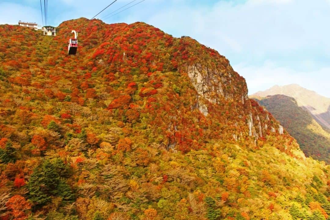 のインスタグラム：「【雲仙仁田峠プレミアムナイト秋期予約受付中！】 2019年10月24日㈭～11月2日㈯　全10日間開催☆ 九州屈指の紅葉の名所「雲仙仁田峠」を舞台に、夜空に浮かぶ紅葉と秋の夜空でプレミアムなひとときをご体感ください。 夜の仁田峠を貸し切り☆ 限定の10日間、ぜひお早めにご予約くださいませ☆ #雲仙仁田峠プレミアムナイト #雲仙 #長崎 #紅葉 #秋 #autumn #旅行 #九州旅行 #九州 #天体観測 #夜景 #星空 #天の川 #star #milkyway #trip #unzen #nagasaki」