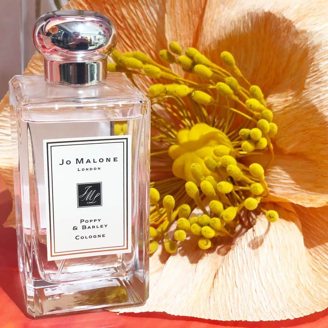 VOCE編集部さんのインスタグラム写真 - (VOCE編集部Instagram)「#JOMALONE の #新作フレグランス ✨  9/6に発売されたのが、「ポピー & バーリー」。 コロン 30ml ¥8000、100ml ¥16000 ボディ & ハンドウォッシュ 250ml ¥6000  英国の田園、黄金色に輝く穀物畑に咲き乱れるポピーがインスピレーションソース。 バーリー、は、大麦を意味する英語なんですよ。  トップノートにチャーミングなポピーと、ジューシーなブラックカラントが、 このあとに、バイオレットとイチジクの香りが包み込み、深みのある香りに。 つけるとまるで、少女に戻ったような、ピュアな気持ちになるんです🥺  ジョー マローンということで、コンバイニングするなら…… イングリッシュ ペアー & フリージアでみずみずしさとフルーティさを出したり、 ウッド セージ & シー ソルトで爽やかさを出したりするのがオススメです。 （ウェブサイト編集長） －－－－－－－－－－－－－－－－－－－－ VOCEのinstagramでは新作コスメ情報やメイクテク、撮影舞台裏を毎日お届け！ ぜひフォロー&チェックして！！ 👉 @vocemagazine  #voce#vocemagazine﻿ #ヴォーチェ #新作コスメ #コスメマニア #コスメ好きさんと繋がりたい #VOCEおすすめコスメ #VOCE新作コスメ #コスメお試し #コスメレポ #ジョーマローン #ジョマロ #ポピーアンドバーリー #新作香水 #新作フレグランス #コンバイニング #perfume #fragrance」9月21日 15時03分 - vocemagazine