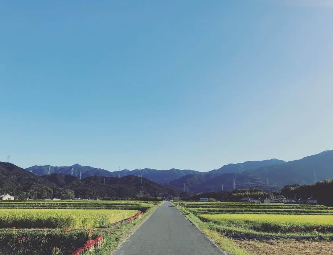 関川良さんのインスタグラム写真 - (関川良Instagram)「田園 #kojitamaki」9月21日 20時38分 - ryosekikawa