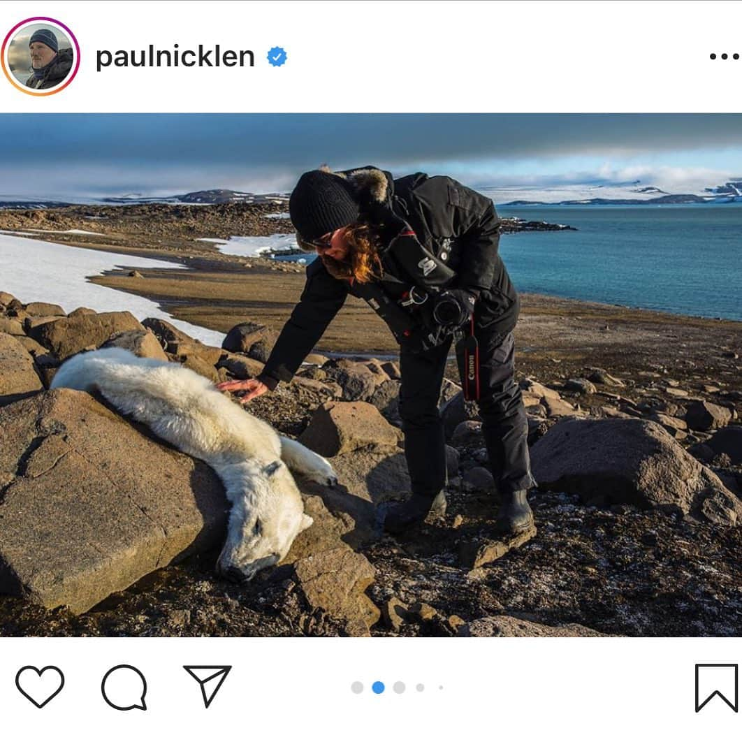 イリザ・シュレシンガーさんのインスタグラム写真 - (イリザ・シュレシンガーInstagram)「Reposted from @paulnicklen please see the rest of this story on his page. He said... Today is a powerful, hopeful and inspiring day.  In 2002, I photographed a major climate change feature for National Geographic Magazine. I could not get one scientist to openly go on the record and tie their name to the words climate change.  They knew something was going on but would not go on record for fear they may lose credibility. The Inuit were talking about it, the data was already pouring in showing signs of rapid change, and the evidence was obvious to me and my camera.  While on lecture tour for NG, some audiences requested that I did not mention the words global warming and climate change as their entire audience did not ‘believe’ in such “propaganda". I felt deflated and scared. In just 17 years, we have come so far and it is powerful warriors with incredible guts and leadership like @gretathunberg to shake things up.  We owe it to the animals and ecosystems, we owe it to the planet, we owe it ourselves and we owe it to your children to reverse this course of self destruction that we have been on for over 250 years. #standinsolidarity #climatestrike #fridaysforfuture #bethechange #riseup」9月21日 15時11分 - ilizas