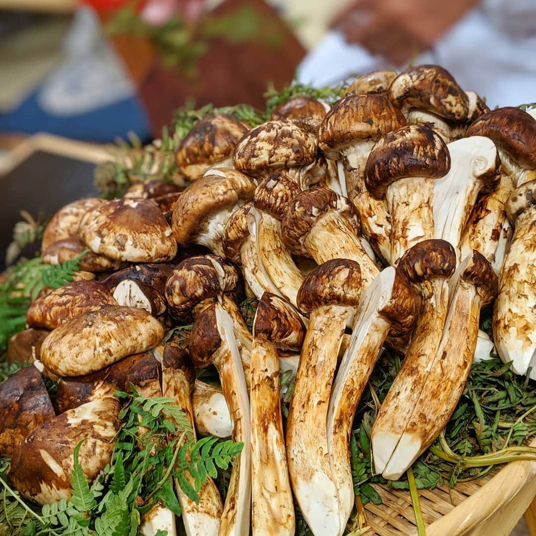 天本正通 のグルメインスタ