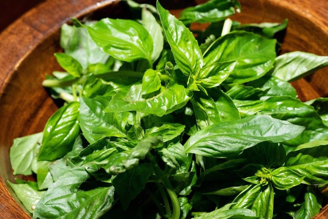 山人のグルメインスタ