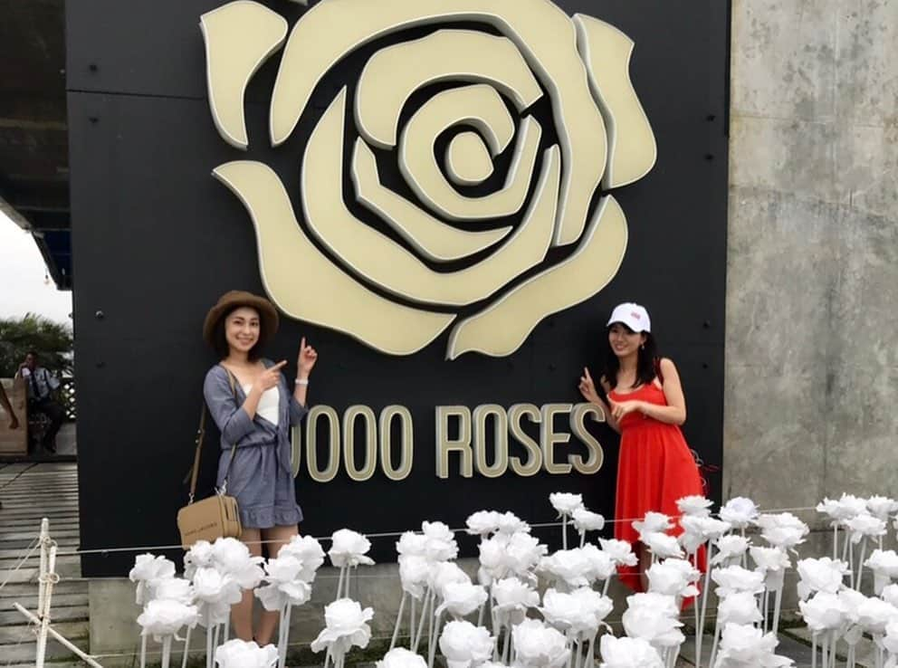 にゃんさんゴルフさんのインスタグラム写真 - (にゃんさんゴルフInstagram)「. . . マクタン島にある 10,000 Roses Cafe & More🌹🌹 . . 夜のライトアップも素敵🌠 . . 起きないにゃんさんいた（笑） . . #10000本#薔薇#セブ旅行#女子旅#マクタン島#インスタ映え#アジア旅行#にゃんさん#猫#ねこ#旅行好き女子 #旅行好きな人と繋がりたい #旅行好き#girlstalk#rose#cat#catlife#girlstalk打卡 #cebu#alicegarden#cebutrip#cebuphilippines#travelcebu#cebutravel」9月21日 16時43分 - miiiii0228