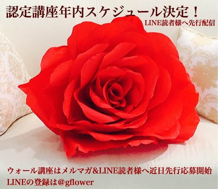 Gフラワー ジャイアントフラワー専門店のインスタグラム：「認定講座の年内スケジュール決定しました^_^ 東京、神戸、福岡です^_^  年内にジャイアントフラワー作成の基礎を取得したい人は、@giant.flower プロフィール→ 認定講師養成 で詳細を♫  #会場装飾 #結婚式準備 #ジャイアントペーパーフラワー #2019冬婚 #日本中のプレ花嫁さんとつながりたい#ゼクシィ#日本中の花嫁さんとつながりたい#diyウェディング #関西プレ花嫁#2019夏婚 #プロポーズ#前撮り #後撮り #backdrop #flowerart #departmentstore #ディスプレイ #フラワーウォール #フォトブース #ウォールデコ #ウォールデコレーション #空間装飾 #ハナコレストーリー#ジャイアントフラワー」