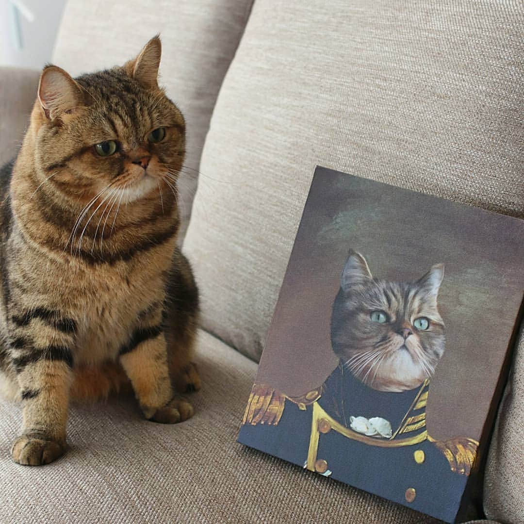 のインスタグラム：「☆ Thank you so much, wonderful art by @crownandpaw . 貴族のコスチューム似合うかにゃ？😹 . @crownandpaw さんより かっこいいパネルが届きました。 . 油絵みたいな感じで高級感のあるパネルです。 . #お顔がシュッとしてるとこがツボ😂 #どこに飾ろうかなぁ #ありがとうございます . #torajiromodel .」