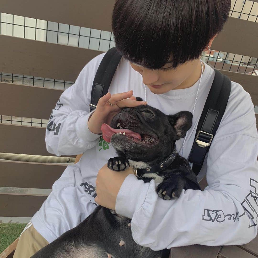 やっぴのインスタグラム：「幸せそう2人とも( ᵕ̩̩ㅅᵕ̩̩ )」