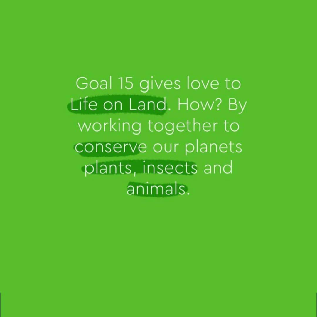 ペトラ・ネムコバさんのインスタグラム写真 - (ペトラ・ネムコバInstagram)「This is the colour of UN #goal15: Life On Land. 🌳 🐜 🌺 🐘 🌱 So excited to share with you that I am honored to be nominated by the @TOGETHERBANDOFFICIAL partners as an official ambassador for this goal along side of model and activist Gisele Bundchen, actress and UN Goodwill Ambassador Michelle Yeoh, model and conservationist Doutzen Kroes, wildlife photographer Conor McDonnell, film maker and activist Jack Harries and adventurer and activist Johan Ernst Nilson. #TOGETHERBAND is about creating a healthy future by supporting the 17 Global Goals created by the #UN. These are the most challenging issues that our planet faces. We need to take action to create a sustainable future. Right now‼️🌎 #GLOBALGOALS #GOAL15 #SHAREYOURGOAL #TOGETHERBAND #BOTTLETOP #UNFOUNDATION  #UBS #WWF」9月22日 5時40分 - pnemcova