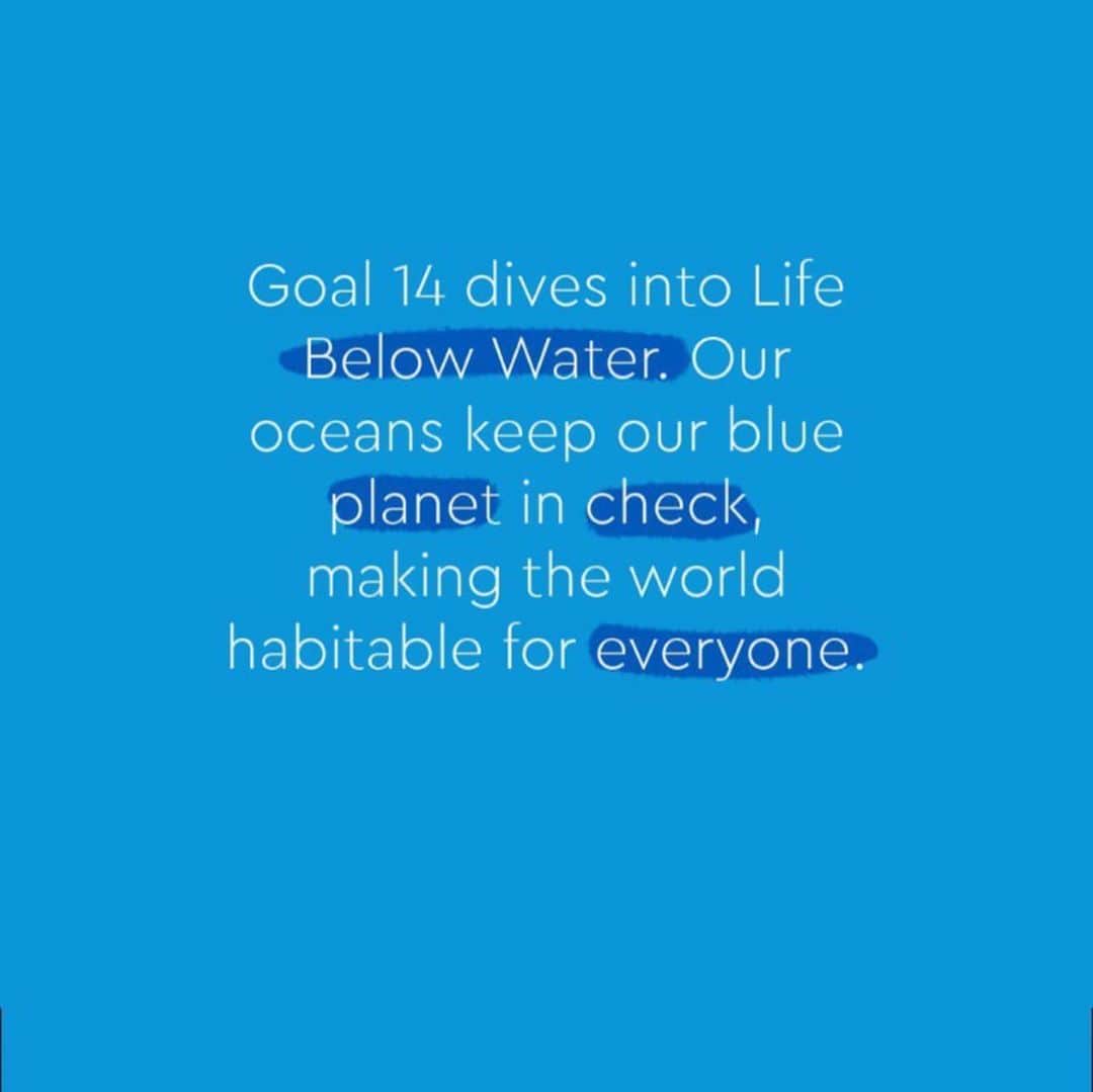 ペトラ・ネムコバさんのインスタグラム写真 - (ペトラ・ネムコバInstagram)「This is the colour of UN #goal14: Life Bellow Water. 🐬🐋🐢🐠🦈 So excited to be a @TOGETHERBANDOFFICIAL Ambassador for this goal too. 🙏💙🙏 Is this goal close to your heart? What you think needs to be done to protect #LifeBellowWater better?  #GLOBALGOALS #GOAL15 #SHAREYOURGOAL #TOGETHERBAND #BOTTLETOP #UNFOUNDATION」9月22日 5時47分 - pnemcova