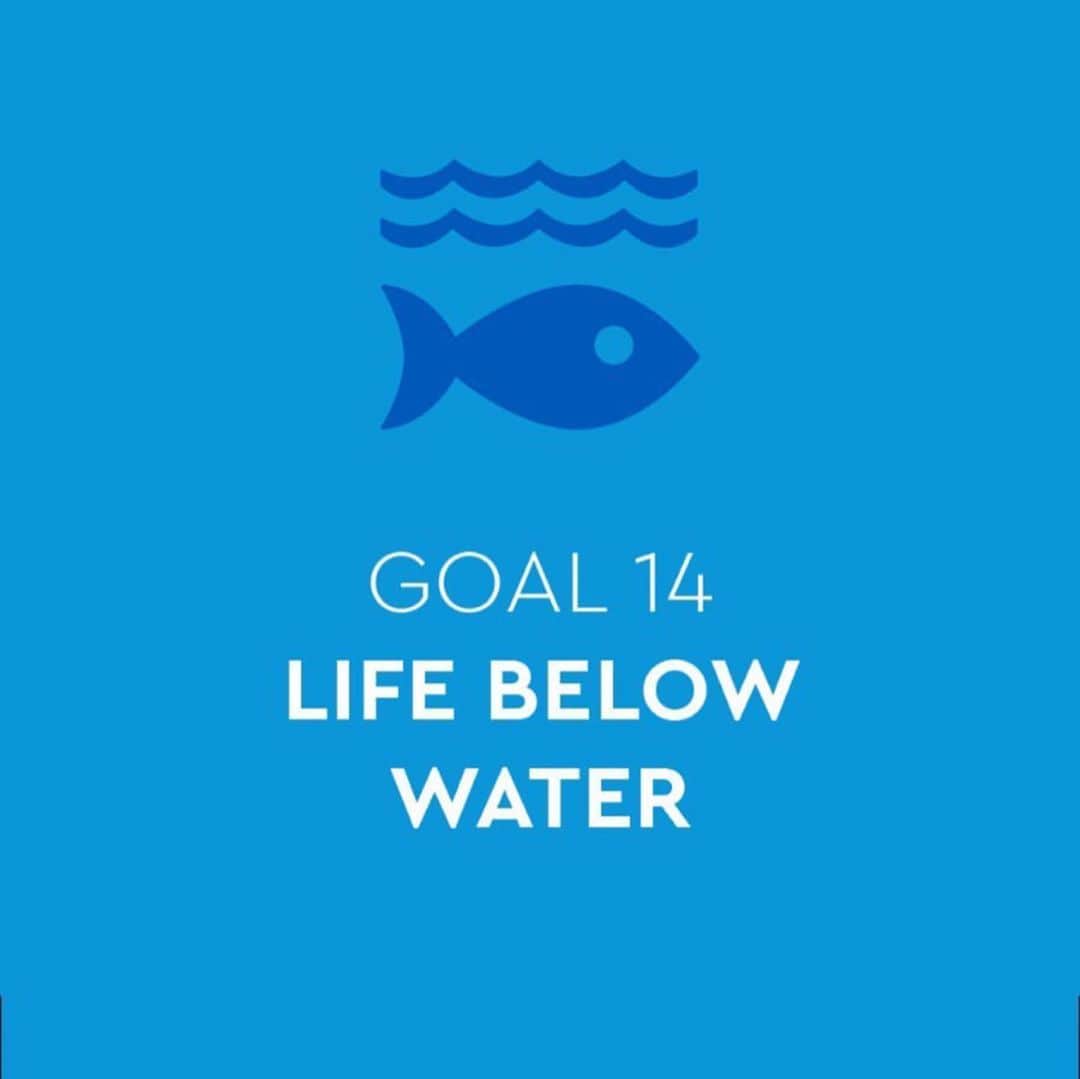 ペトラ・ネムコバさんのインスタグラム写真 - (ペトラ・ネムコバInstagram)「This is the colour of UN #goal14: Life Bellow Water. 🐬🐋🐢🐠🦈 So excited to be a @TOGETHERBANDOFFICIAL Ambassador for this goal too. 🙏💙🙏 Is this goal close to your heart? What you think needs to be done to protect #LifeBellowWater better?  #GLOBALGOALS #GOAL15 #SHAREYOURGOAL #TOGETHERBAND #BOTTLETOP #UNFOUNDATION」9月22日 5時47分 - pnemcova