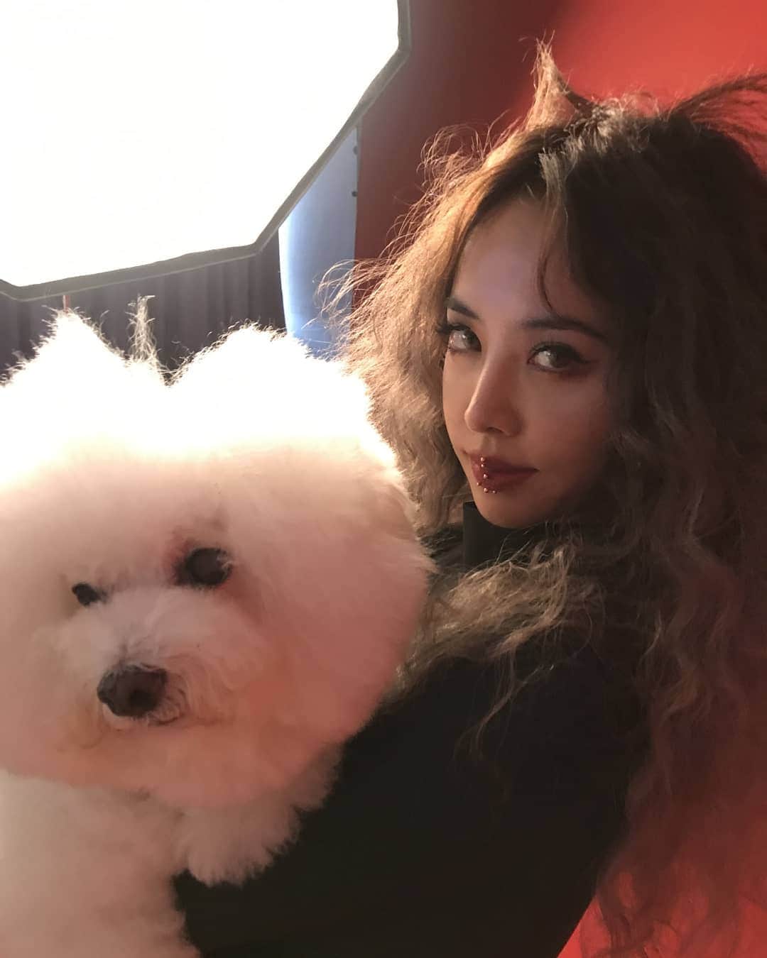 のインスタグラム：「下雨不愁 #髮型參考」