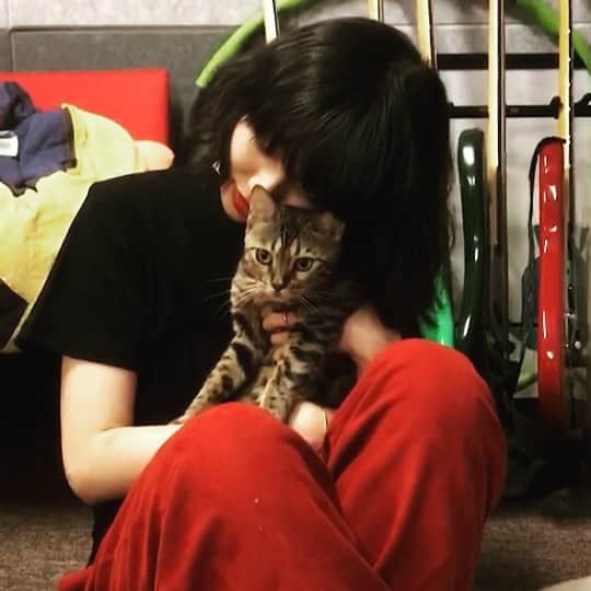 のインスタグラム：「むーのげんなり顔😟」