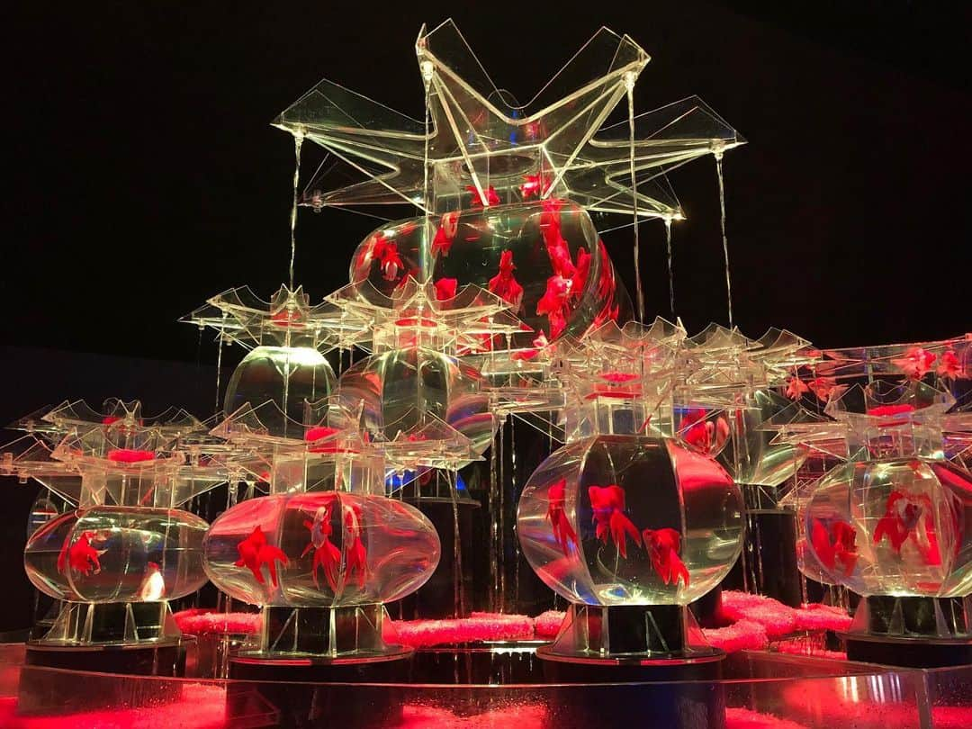 興梠友理さんのインスタグラム写真 - (興梠友理Instagram)「🐠ART AQUARIUM 2019🐠 ・ 昨日はコレド室町で開催中の『アートアクアリウム』に行って来ました✨(展示は明日の23日まで) ・ 2年ぶりに行ったけど、かなり展示内容も変わってたから十分楽しめました😋 ・ 個人的には大きな展示よりも、いろんな表情を見せてくれる金魚たちが可愛かった😍←特に出目金たち💕 ・ そして、リアル「金魚の糞」(長〜いやつ)も見れて面白かった🤣←最後の写真 ・ #アートアクアリウム #コレド室町 #日本橋 #金魚 #夏の思い出 #artaquarium #artaquarium2019 #goldfish #aquarium」9月21日 22時47分 - yuri_rogi