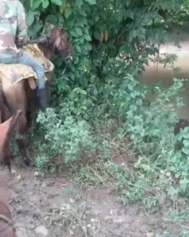 ホセ・レイエスのインスタグラム：「Por poco se ensucia☹️🦟AHI🤦🏿‍♂️」