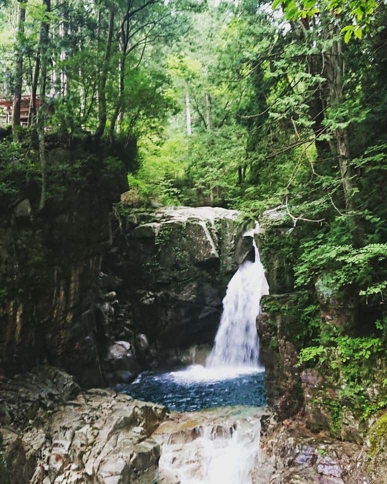 杉田芳尚さんのインスタグラム写真 - (杉田芳尚Instagram)「・ ・  Healing time with Waterfall」9月21日 23時29分 - yoshihisasugita