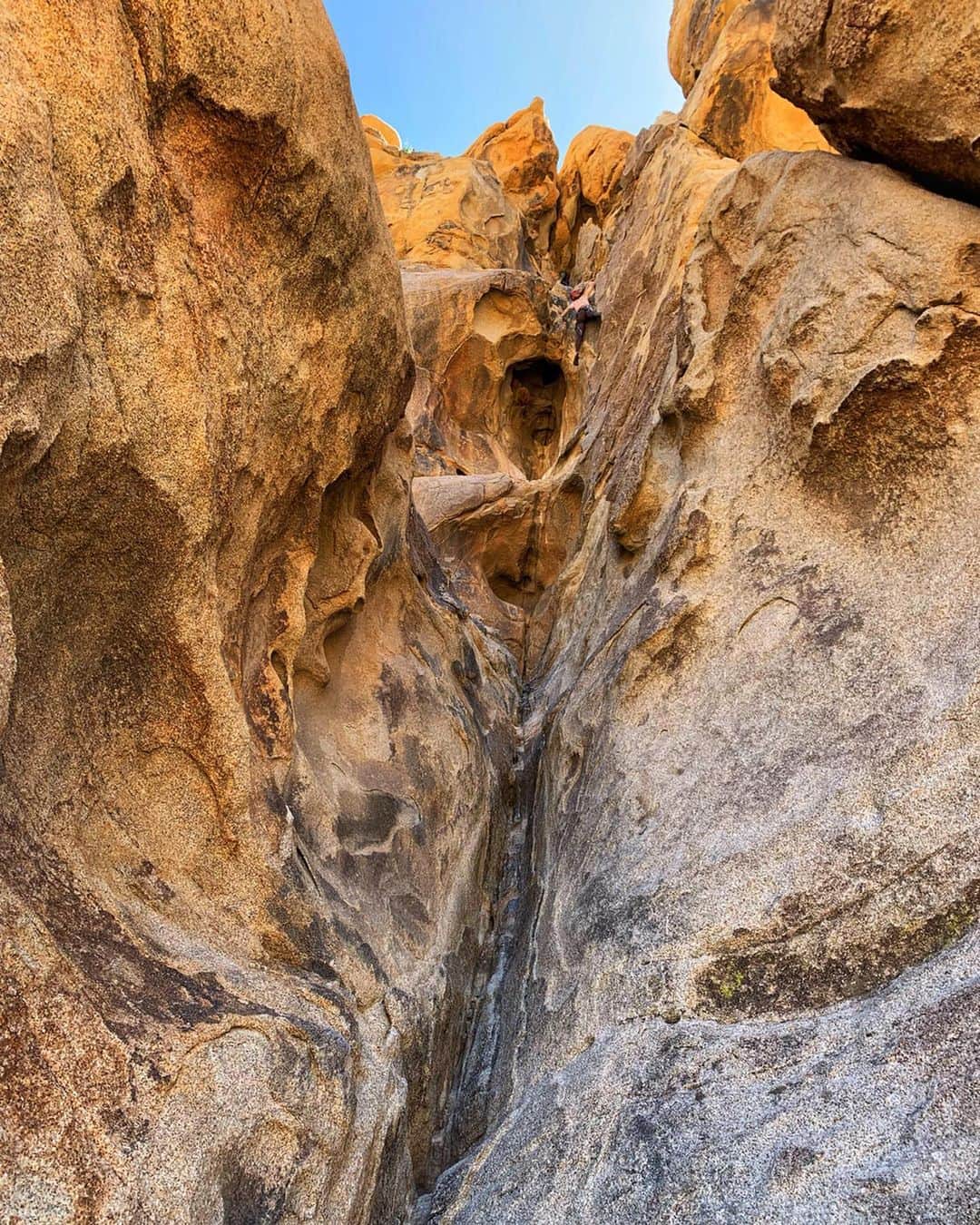 ニーナ・アグダルのインスタグラム：「Joshua Tree, you rocked my world and I will be back for more 🌵♥️ #rockclimbing #joshuatree #mojaveguides」