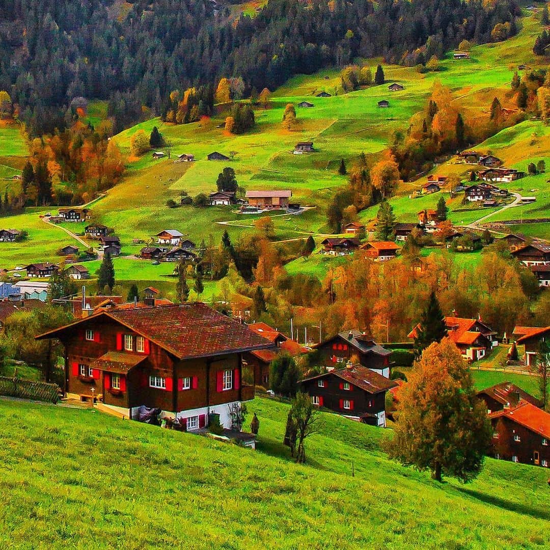 Hatice Korkmaz The Color Queenのインスタグラム：「Sonbaharin sadece renklerini sevmek😁❤️💚 Love #autumn just for its #colors 🙈 #switzerland #love #nature #fall #grindelwald」