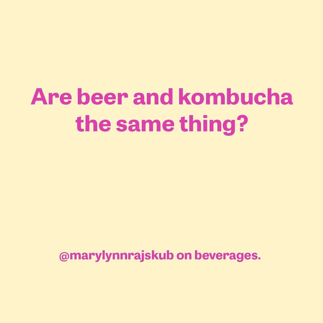 メアリー・リン・ライスカブさんのインスタグラム写真 - (メアリー・リン・ライスカブInstagram)「#beer #kombucha #serious #question #not #really #idostandupcomedy #ticketsonmywebsite #themarvelousmrsmaisel #marylynnrajskub」9月22日 2時22分 - marylynnrajskub