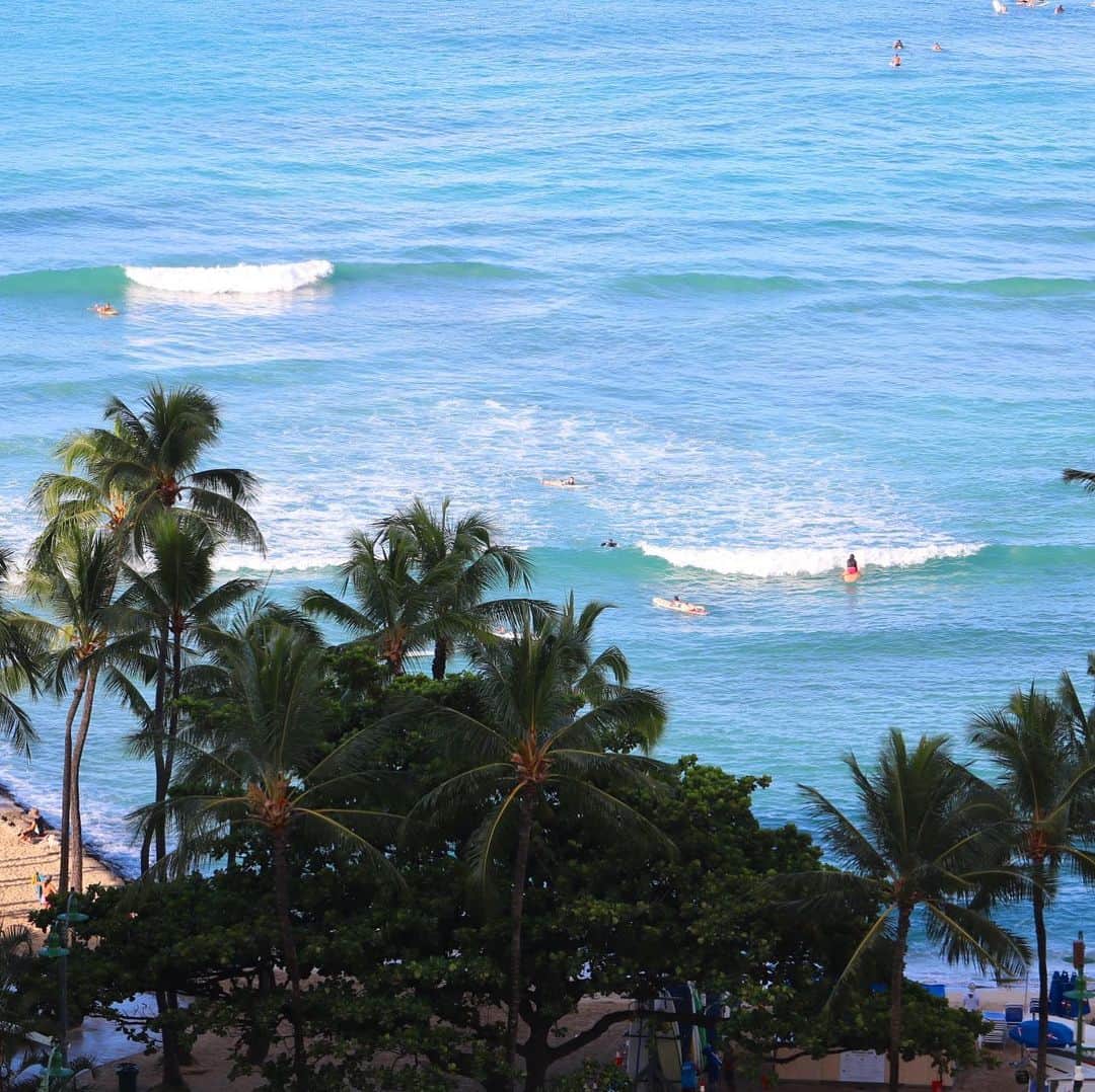 千紘れいかのインスタグラム：「今日もハワイはご機嫌😍 わたしもご機嫌😄  #ハワイの朝 #ハワイ最高 #オアフ島 #ワイキキ #ハワイに住みたい #おすそ分け」