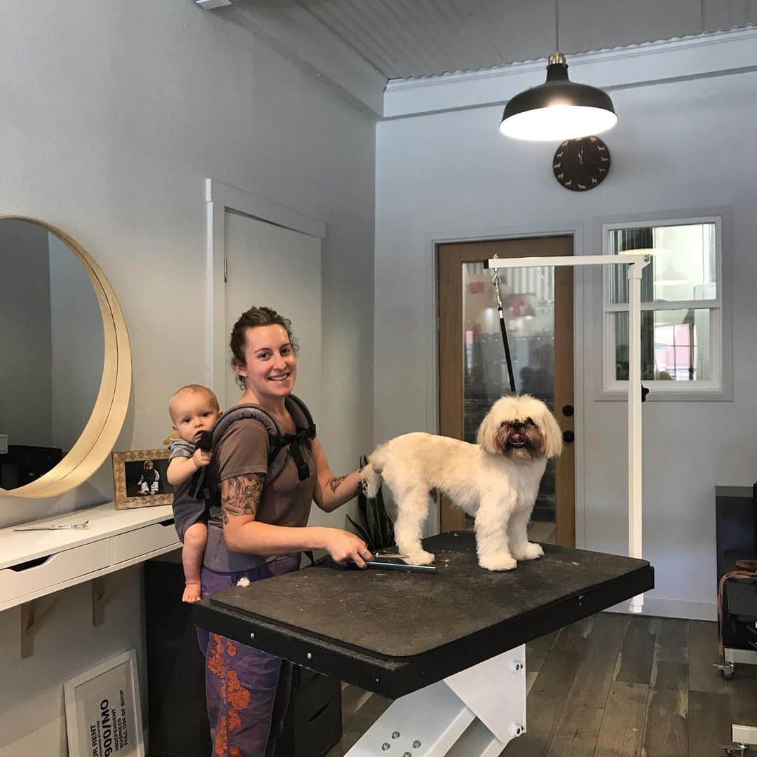 Dogs by Ginaのインスタグラム：「Bring your babe to work day 🤘🏼 @babytula」
