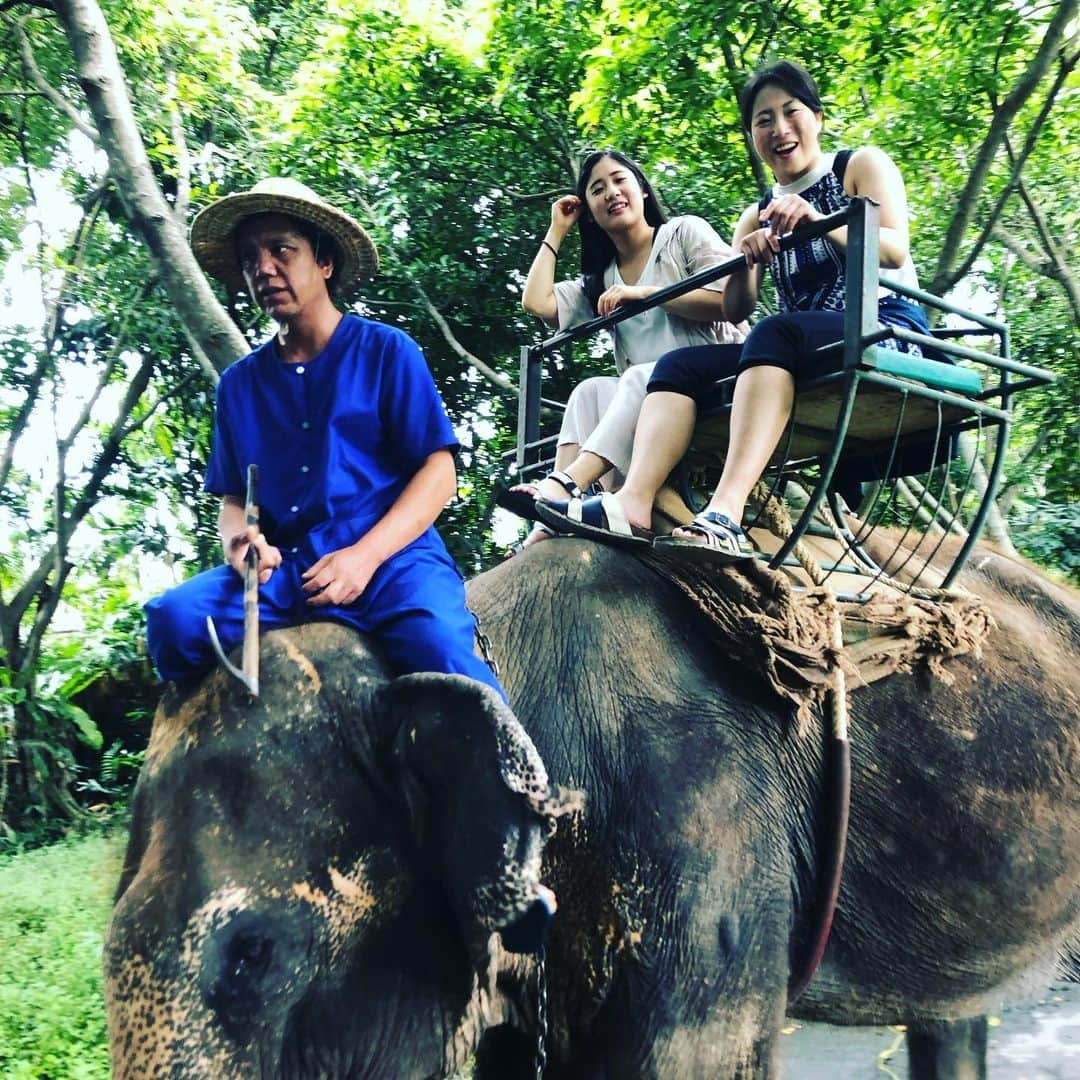 帯広さやかさんのインスタグラム写真 - (帯広さやかInstagram)「ただいま！タイから🇹🇭帰国しました！」9月22日 13時43分 - sayakaobihiro