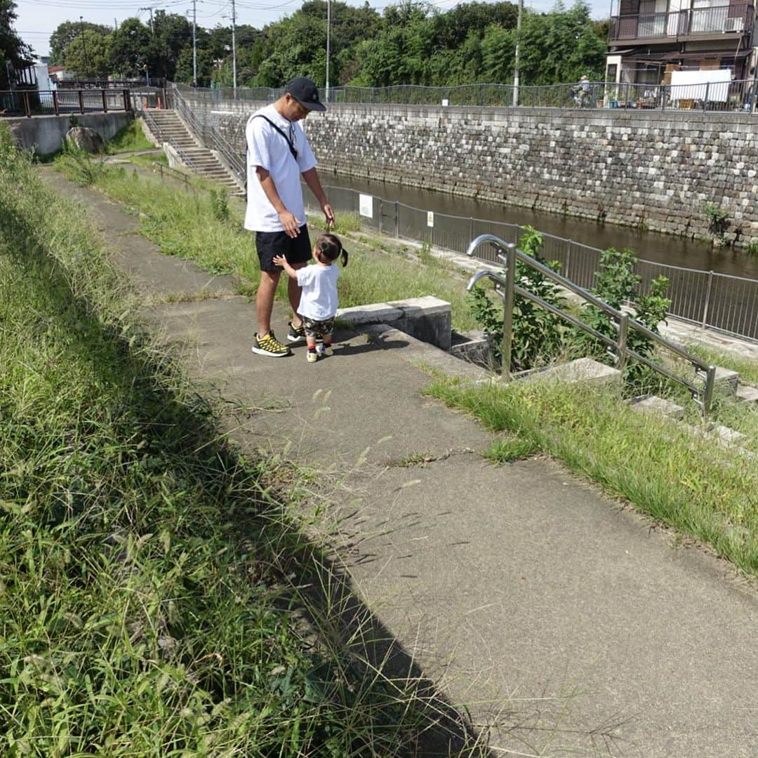 尾形貴弘さんのインスタグラム写真 - (尾形貴弘Instagram)「仕事前の至福の時間！！！ ママは毎日だから大変みたいだけどパパはイヤイヤさくちゃんもかわいいぞ！！！ って言うと怒られるかな。。。 #柴犬大好き #柴犬マニア  #愛犬  #赤柴 #しばけん  #しばちゃん  #しばいぬ大好き  #shibainu  #shiba_snap  #犬ばか部  #いぬばか部 #ミク #三九 #39 #パンサー尾形 #イヤイヤ期  #赤ちゃん #赤ちゃんのいる暮らし #赤ちゃんと犬 #1歳6ヶ月 #1歳半 #サンキュー #ママリ #ベビフル」9月22日 13時45分 - miku3_miku_9