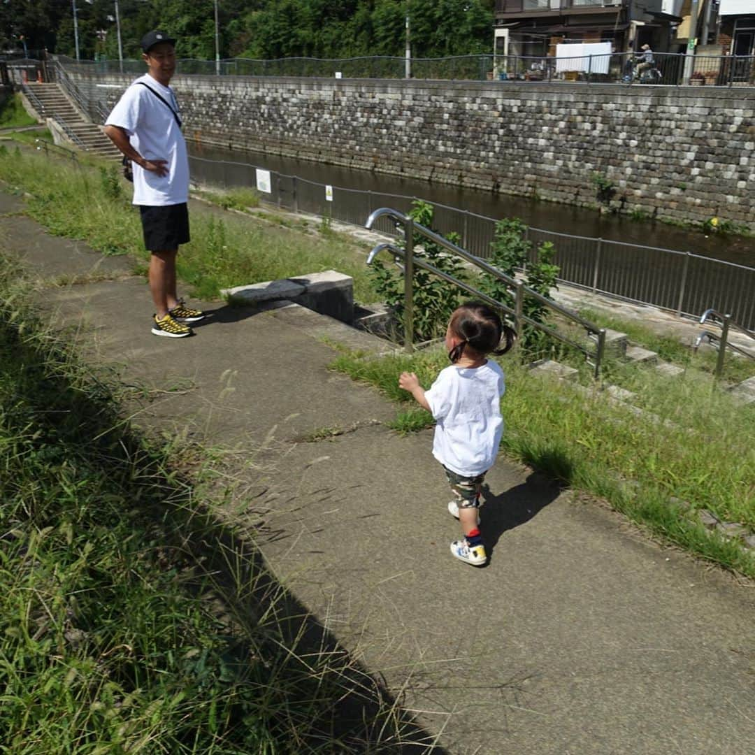 尾形貴弘さんのインスタグラム写真 - (尾形貴弘Instagram)「仕事前の至福の時間！！！ ママは毎日だから大変みたいだけどパパはイヤイヤさくちゃんもかわいいぞ！！！ って言うと怒られるかな。。。 #柴犬大好き #柴犬マニア  #愛犬  #赤柴 #しばけん  #しばちゃん  #しばいぬ大好き  #shibainu  #shiba_snap  #犬ばか部  #いぬばか部 #ミク #三九 #39 #パンサー尾形 #イヤイヤ期  #赤ちゃん #赤ちゃんのいる暮らし #赤ちゃんと犬 #1歳6ヶ月 #1歳半 #サンキュー #ママリ #ベビフル」9月22日 13時45分 - miku3_miku_9