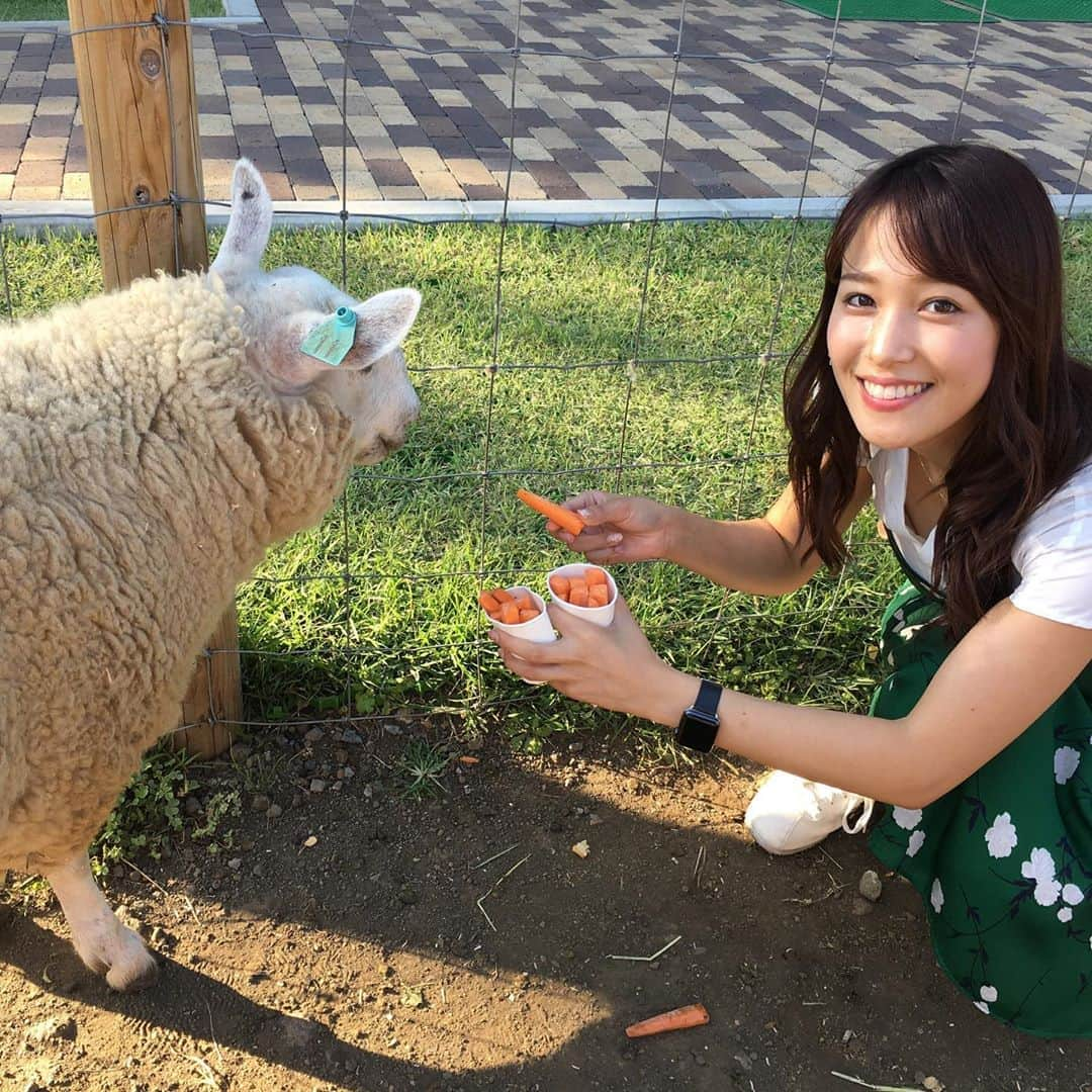 鷲見玲奈さんのインスタグラム写真 - (鷲見玲奈Instagram)「. みなさん、3連休はいかがお過ごしですか？ 私はこの前の3連休に、友人とバスツアーに参加してきました🚌💨 たくさんの動物達と触れ合い、癒しのひととき☺️ うさぎ🐰があまりにも大人しくていい子で可愛くて帰りたくなくなりましたが、また次も来るぞ…！という強い思いでお別れしてきました。 うさぎは、サファリパークのうさぎの館で触れ合えます😊 犬の館と猫の館にも行きたかったなぁ😭 (時間オーバーで断念) . さらに、サファリパークから車で30分程のところにあるのが「まかいの牧場」。 バター作りや、乗馬など、その他にも色んな体験ができるので、大人も子供も楽しめます✨ . 全て任せられるのでバスツアーは大好き☺️ 次は何のツアーに参加しようかな。 . . . #バスツアー #三連休 #サファリパーク #うさぎの館 #まかいの牧場」9月22日 14時19分 - sumi__reina