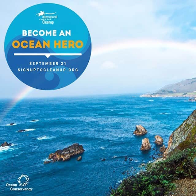 コビー・スマルダーズのインスタグラム：「Our oceans need our help -  plastic has been found in 59% of sea birds, 100% of sea turtle species, and more than 25% of fish sampled from seafood markets around the world.  Help protect our oceans and the millions of species that call it home. Become an ocean hero and signup to volunteer at signuptocleanup.org @oceanconservancy #teamocean #ICC」