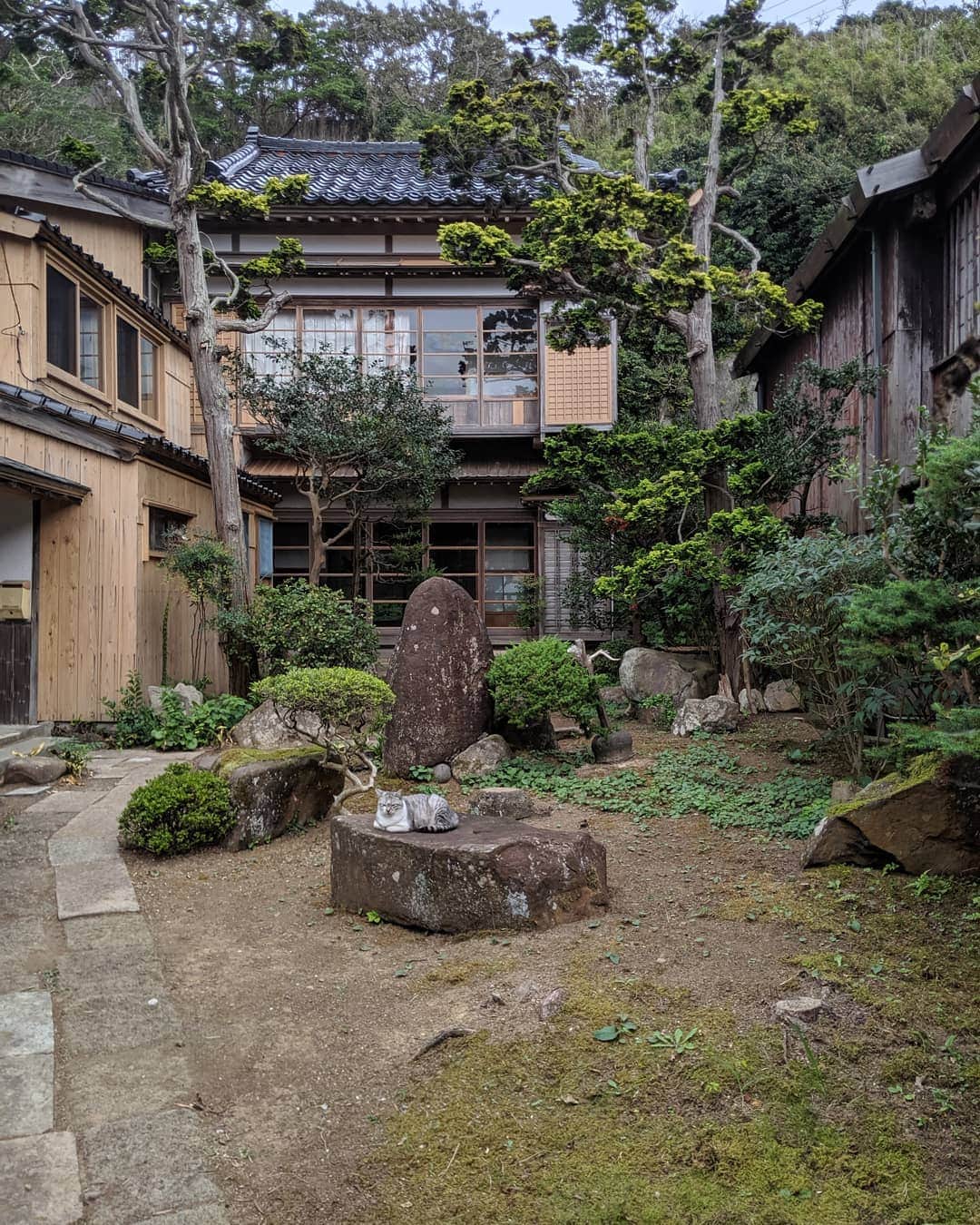 為末大のインスタグラム：「宿根木 #sado #shukunegi」