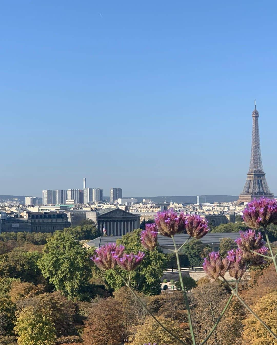 和央ようかさんのインスタグラム写真 - (和央ようかInstagram)「Beautiful morning in Paris 🇫🇷360 degree view 😍😍😍amazing ❤️💕❤️💕 美しいパリの朝🇫🇷 360度パリを見渡せる最高のテラスにお邪魔しました❤️💕😍 #takakoworldstylin🌎  #lifestyle #france 🇫🇷 #paris #lemeurice  #yokawao #和央ようか #フランス #パリ #ホテルムーリス #amazingview」9月22日 7時02分 - yokawao0215