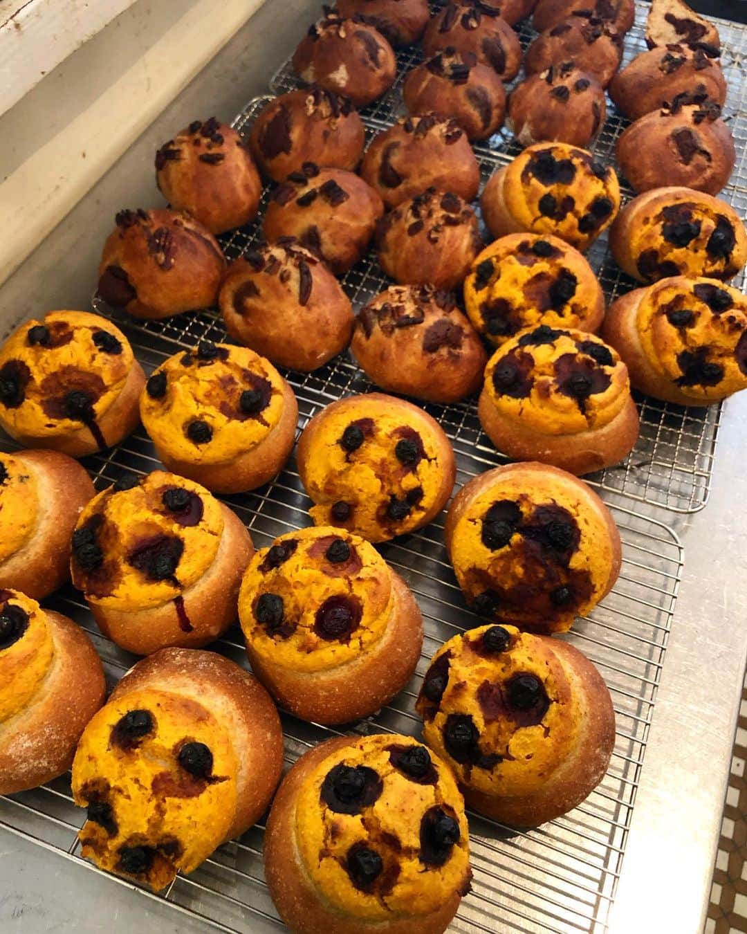 CHIPPRUSONのインスタグラム：「本日、CAFE STURDUSTさんでパンの販売をいたします。  ただいま、最後のパンが焼き上がりました。手前がバターナッツかぼちゃとブルーベリーの帽子パン、奥がココアシナモンロールです。今回、お菓子パンは、植物性原材料のみを使い、お砂糖も不使用となっています。甘酒とメープルシロップ、フィリングにはお豆腐やナッツを上手く取り入れ、優しい甘さのパンに仕上げてみました。かなりの挑戦でしたが、美味しく出来てホッとしています。  その他、お豆腐と酒粕、カシューナッツでチーズ風ペーストを作り、焼き上げた濃厚トマトソースとバジルのピザパン、同じペーストに色とりどりのジャガイモを乗せたパン、いつものカンパーニュなど、お持ちいたします。  パンは売り切れ終了となります。よろしくお願いいたします♩」