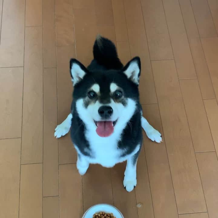 くろのインスタグラム