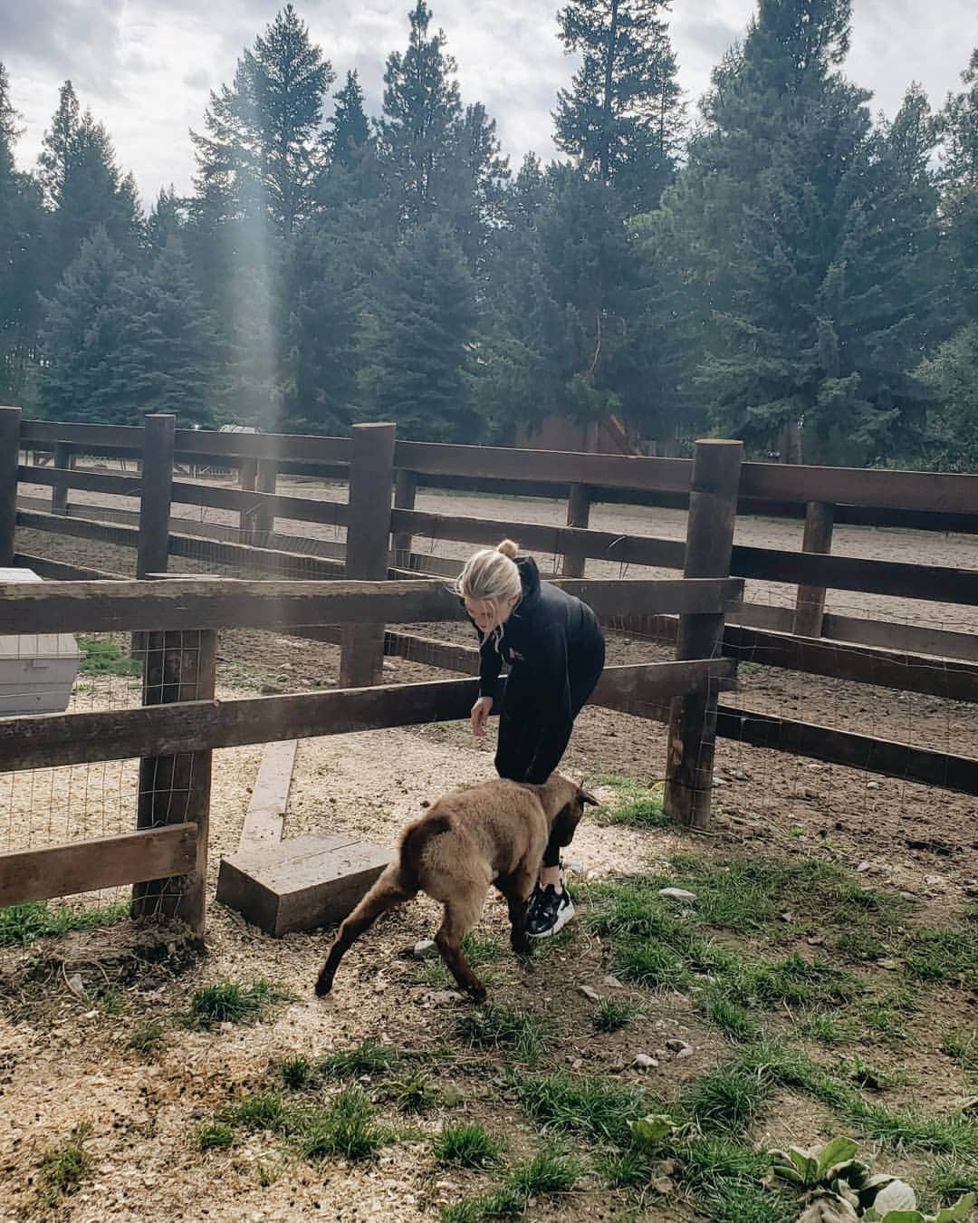 Monica Churchさんのインスタグラム写真 - (Monica ChurchInstagram)「Not very good at making friends at camp 😅 #BeAlpha @sonyalpha #sonycameracamp」9月22日 7時48分 - monicachurch