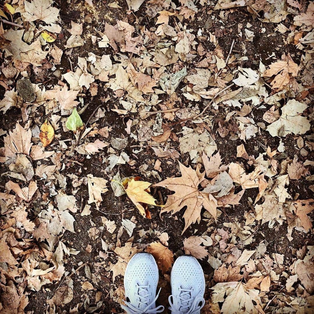 野宮真貴さんのインスタグラム写真 - (野宮真貴Instagram)「おはよう♪ ちいさい秋みつけた🍁 #ちいさい秋みつけた #野宮真貴 #missmakinomiya」9月22日 9時48分 - missmakinomiya