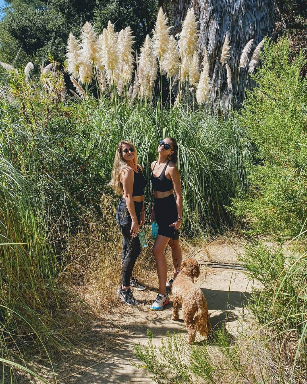 テイラー・ヒルさんのインスタグラム写真 - (テイラー・ヒルInstagram)「Hiking!」9月22日 10時07分 - taylor_hill