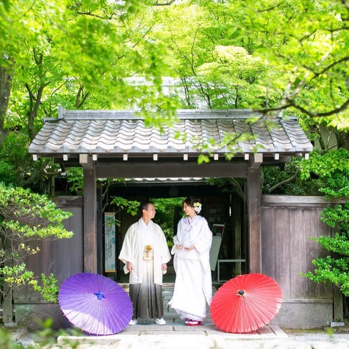 QUANTIC・クアンティックのグルメインスタ