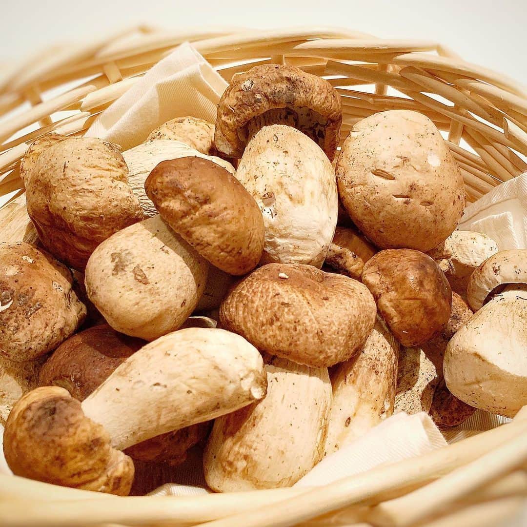 リストランテ カノビアーノ福岡のグルメインスタ