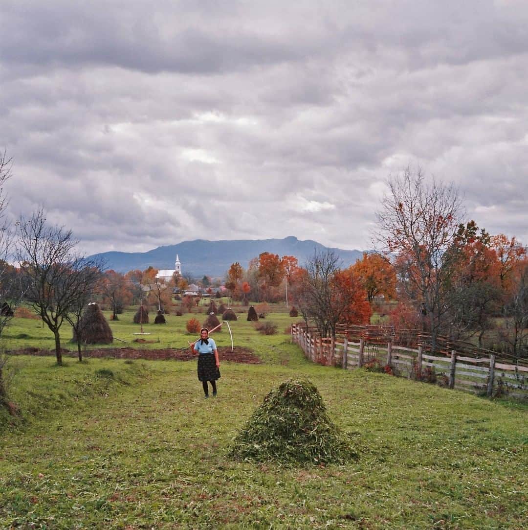 のインスタグラム：「Photo by Rena Effendi @renaeffendiphoto | A woman in Giuleşti village, Romania, rakes hay that she had just cut in the field, in an attempt to collect the last bits before winter comes. For centuries, the small villages in Transylvania have preserved their hay meadows, raised cattle, and operated self-sustaining farms. The agrarian fairytale that is extinct in Western Europe still exists here in bucolic scenes, where young boys learn to cut and rake hay by hand and where many women are proficient in weaving and men can build a house from scratch. Please #followme @renaeffendiphoto for more human interest stories. #romania #agriculture #dailylife #women」