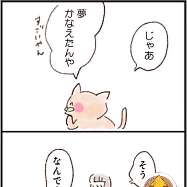のインスタグラム：「「ねこでよければ」第13話です！ http://comip.jp/nekoyoko/mangas/34 今回は「好き」を仕事にした女性のお話」