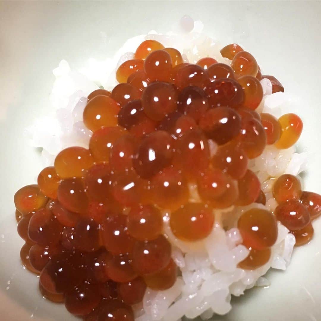 azumiのインスタグラム：「先週の北海道ツアー前からダイエットに入っていたのだけど、奇しくも今はいくらシーズン。実家に寄ったら案の定大量にある。昔は朝からこぼれ落ちるいくらご飯を食べたものだ。今より体重が8キロくらい多かった頃だ。どうしても食べたいので、一口だけ食べた。来月末に送ってもらおう。断食辛い。でもとある仕事が決まってから自然と3キロ落ちた。あと2キロ。 #あずみメシ」