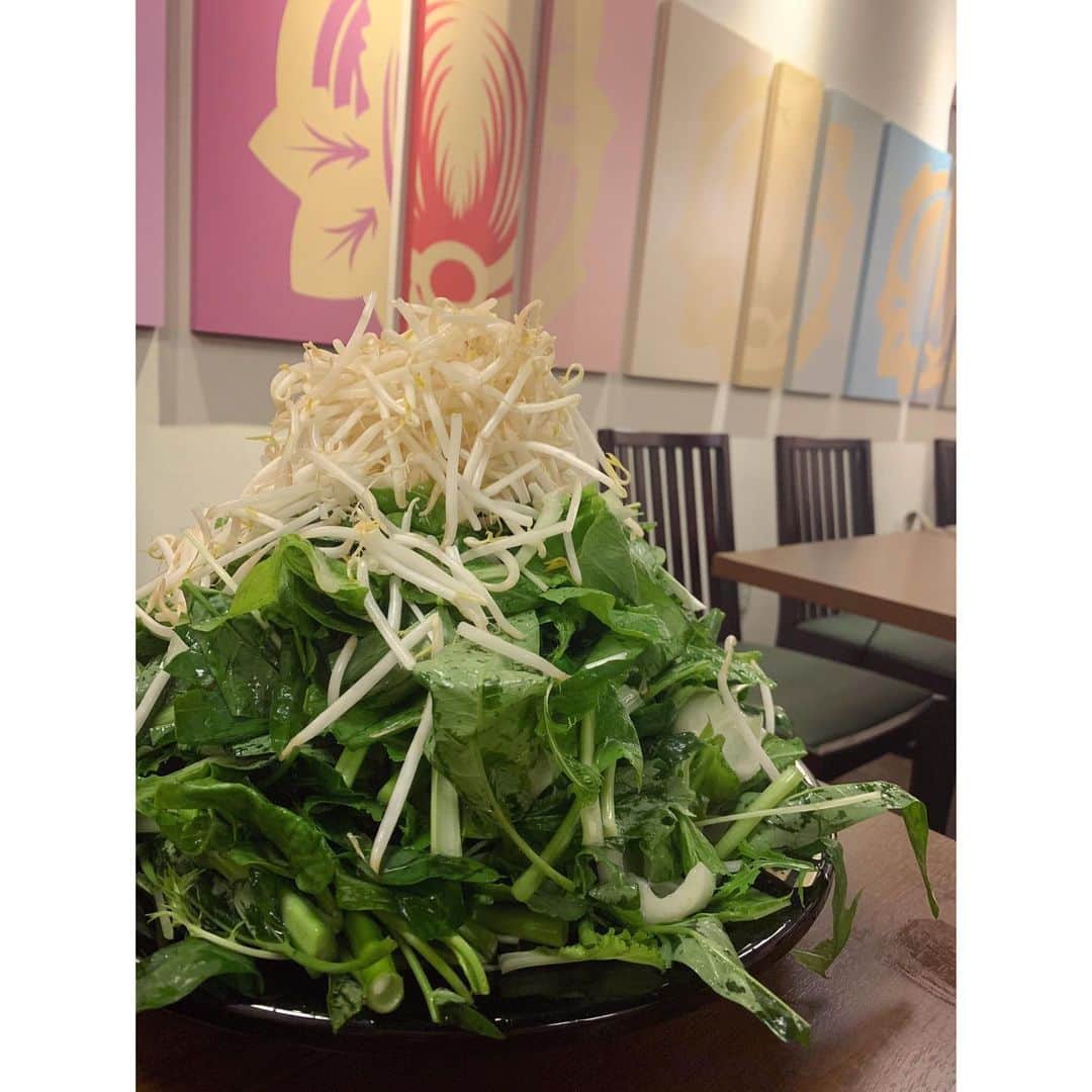 玉巻映美さんのインスタグラム写真 - (玉巻映美Instagram)「どどーーーーーん！と草！ あつこと草鍋😍👏 鍋が恋しい季節になりました🍲 お野菜いっぱい取れました(^^) 栄養とって頑張る💪 #草鍋 #ふじたま」9月22日 23時49分 - eimi_tamamaki