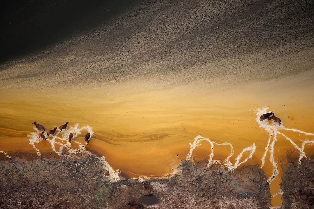 National Geographic Creativeのインスタグラム