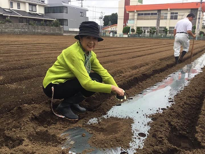 小池百合子さんのインスタグラム写真 - (小池百合子Instagram)「久しぶりに、代表的江戸野菜、練馬大根の種まきに励む。バットの柄でつけたくぼみに種を三粒ずつ撒いて、軽く土をかぶせる。秘書として経験を重ねた尾島都議も出動。約3週間後に間引き作業。自然相手だが、美味しく、(抜き易くまっすぐに)育ちますように。」9月23日 0時01分 - yuriko.koike