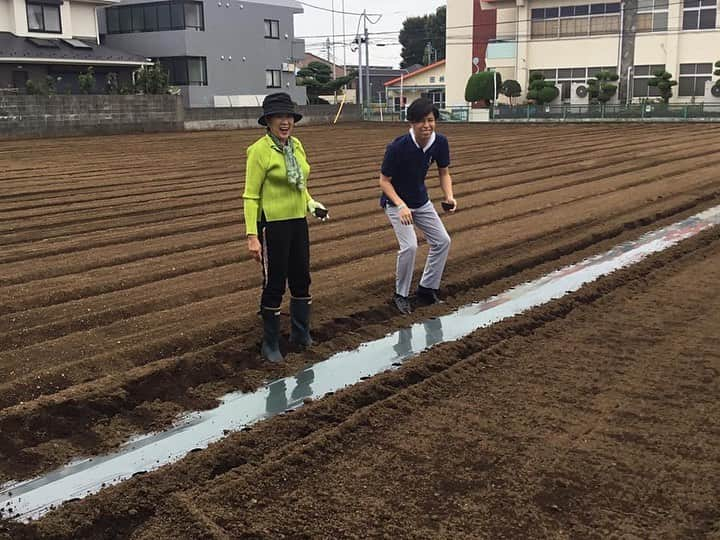 小池百合子さんのインスタグラム写真 - (小池百合子Instagram)「久しぶりに、代表的江戸野菜、練馬大根の種まきに励む。バットの柄でつけたくぼみに種を三粒ずつ撒いて、軽く土をかぶせる。秘書として経験を重ねた尾島都議も出動。約3週間後に間引き作業。自然相手だが、美味しく、(抜き易くまっすぐに)育ちますように。」9月23日 0時01分 - yuriko.koike