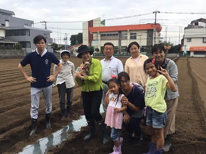 小池百合子さんのインスタグラム写真 - (小池百合子Instagram)「久しぶりに、代表的江戸野菜、練馬大根の種まきに励む。バットの柄でつけたくぼみに種を三粒ずつ撒いて、軽く土をかぶせる。秘書として経験を重ねた尾島都議も出動。約3週間後に間引き作業。自然相手だが、美味しく、(抜き易くまっすぐに)育ちますように。」9月23日 0時01分 - yuriko.koike